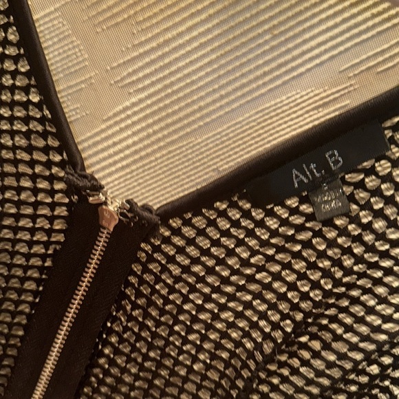 ALT B Lace Mini Dress - Picture 3 of 3